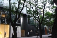 三里屯畫廊區(qū)還好嗎？,,樸京海,楊洋,他們
