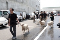 越后妻有“大地藝術(shù)三年展”里的童話故事,黃 然,