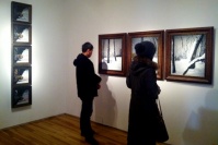 層疊冰綃 對(duì)畫空間2013開年展揭幕,趙力,董鶴,盧曦,劉夏,李威,趙亞南,彭瑋,陳皎,蔣雨,羅薔