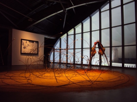 南藝美術(shù)館展出“復(fù)調(diào)” 追問成功學(xué)外的第二十一種狀態(tài)