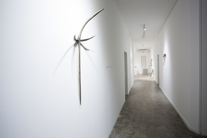 張明放數(shù)年一直關(guān)注伊藤一洋，2013年年末舉行他的小型個(gè)展
