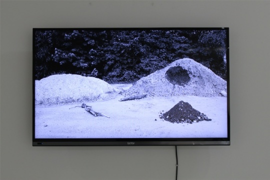 耿雪作品