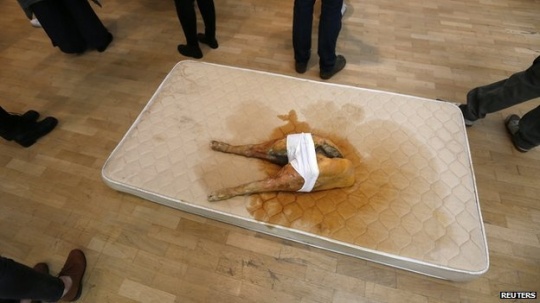 Whitechapel畫廊的展覽中，作品I Might Be Shy But I'm Still A Pig   圖片來(lái)源：http://www.bbc.com