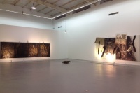 視覺的邊界在哪里  林大兩年籌備四人聯(lián)展,尚揚,孫良,夏小萬,李山