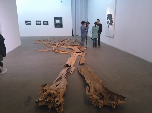 《三棵樹之二》，史金淞，裝置，1360×1200cm，2007
