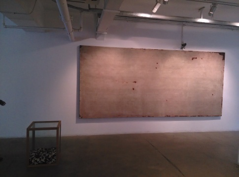 《圖像的構(gòu)造》，李鋼，裝置，420X200cm，2012
