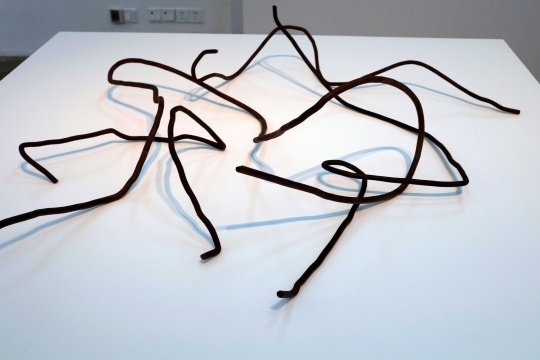 郭工展出《鋼筋肖像》系列  紅木 尺寸不一  2013

