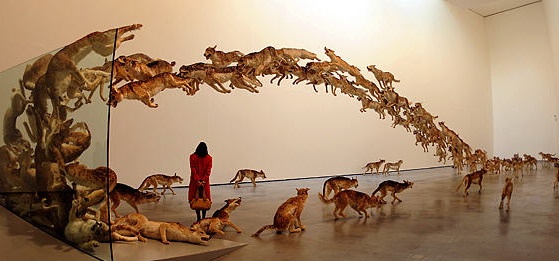 2006年，亮相德國古根漢美術館的“撞墻”：99匹仿真狼撞向一面玻璃墻的場面
