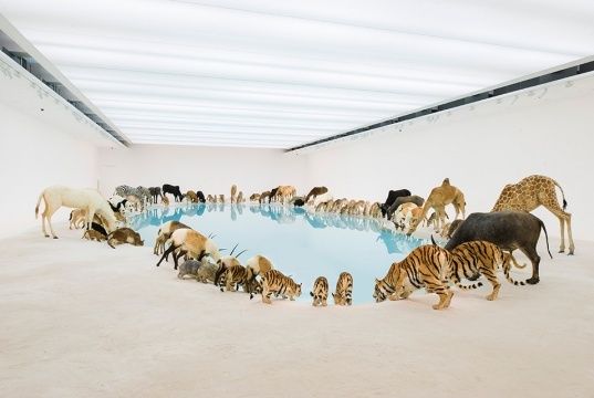 2013年在澳大利亞布里斯班現(xiàn)代美術館開幕的大型個展“歸去來兮”，作品被美國《時代周刊》譽為“當代的方舟”
