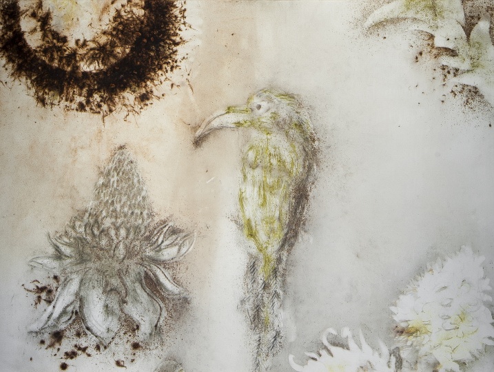 2013年為巴西創(chuàng)作的“巴西花鳥圖”，也將會在即將開幕的展覽“九級浪”上呈現(xiàn)
