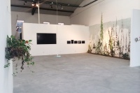 《吳清》展——12位年輕藝術(shù)家齊聚黑橋非盈利空間,何遲,楊俊嶺,吳彬,陶輝,寧浩翔,劉旭東,梁半,李仁靖,吳清,卜云軍