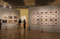 第二屆中國(guó)油畫(huà)學(xué)會(huì)雙年展 思想“在場(chǎng)”,劉小東,詹建俊,吳大羽,王煥青,張晴,范迪安,毛旭輝,許江,尚揚(yáng),楊參軍