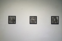 白天即黑夜  周青個展“白夜”樹下畫廊開幕,周青,郝青松