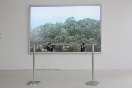 弗拉基米爾?尼科利奇 《沒有風(fēng)景》 彩色燈箱、錄音 166cm x 255cm 2014
