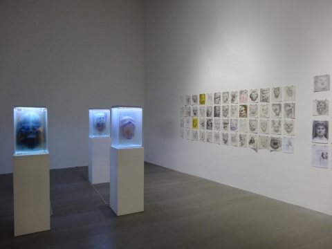 兩個展廳內(nèi)分別展示了夏小萬的新作與舊作，相同的是墻上都配有數(shù)量巨大的手稿
