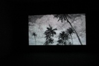 “夜畫(huà)”繪夜景 漢斯·歐普·德·貝克個(gè)展亮相常青,漢斯·歐普·德·貝克