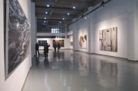 注重本土性 力美術(shù)館開幕,葉永青,陳孝信,張方白,賈滌非,段 江華,譚國斌,陳孝信,楊衛(wèi),蔡 錦,余丁