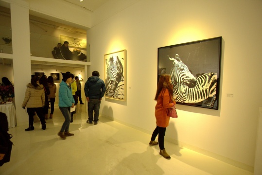 展覽現(xiàn)場
