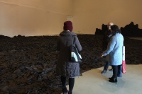 胡又笨個(gè)展“征服”今日美術(shù)館,王林,高嶺