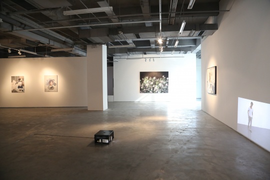 “無聊就是行動的開始……”展覽現(xiàn)場