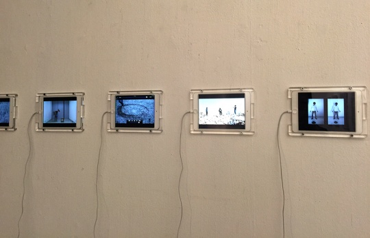 何利校 《100天的延續(xù)》  行為錄像  尺寸可變  2014-2015
