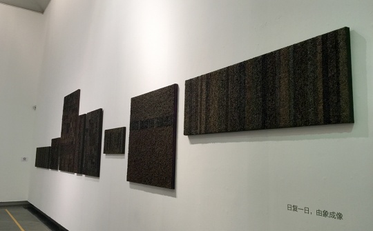 林偉祥  《種茶，2013年2月至2015年1月》 茶葉、丙烯、粘粘合劑、麻布裱木板  120x680cm  2013-2015