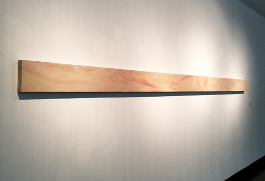 孫佳興  《皮的研究（二）》  20x400cm   2014

