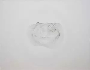 朱昱參展本屆香港巴塞爾藝博會(huì)作品 《茶漬 T24》，2014，布面油畫
