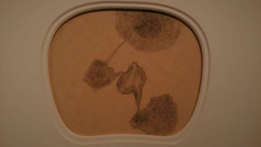 冰逸 《百妖圖》 46×66cm(連框） 紙本水墨 46×66cm(連框）
