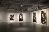 宇宙的維度 姬子個展“以神觀相”在金雞湖美術(shù)館亮相,姬子