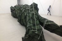 張新軍在楊畫(huà)廊造“膈”,張新軍