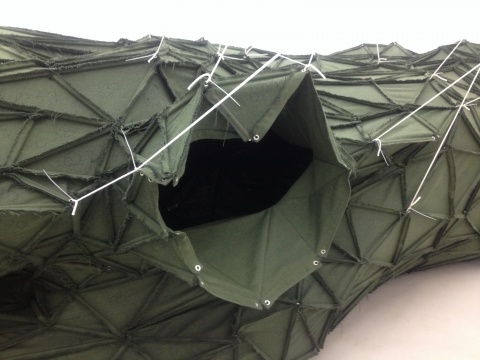 張新軍在楊畫廊造“膈”
