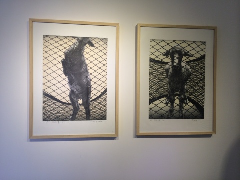 蘇新平《網(wǎng)中之羊之一》、《網(wǎng)中之羊之二》石版畫 58×43cm 1992
