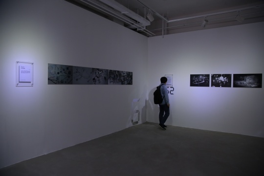 策展方案展示現(xiàn)場
