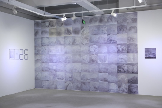 策展方案展示現(xiàn)場
