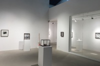 “搗亂的”“落石” 彤畫廊推蔡東東新展,蔡東東,南方