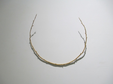 婁金 作品《連理枝》
