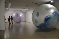 今日開展曾浩新作  “泡泡”的持續(xù)幻想,曾浩,段君,杜曦云,王澈