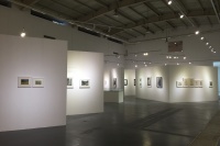 高名潞首次作品展 追溯70年代的內(nèi)蒙古歲月,范迪安,高名潞,盛葳