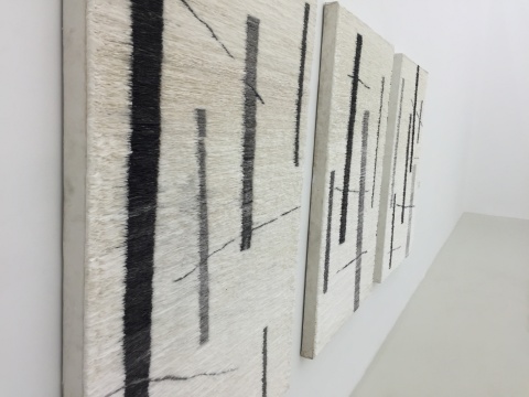 展覽現(xiàn)場，蘇上舟作品
