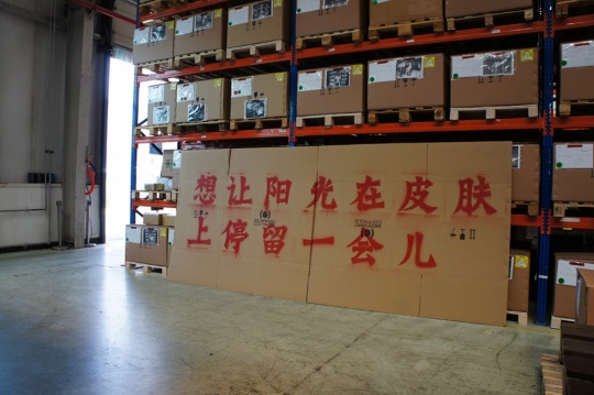 《社會敏感性研究與發(fā)展計劃-馬永峰》，新“大字報” 視頻 2012
