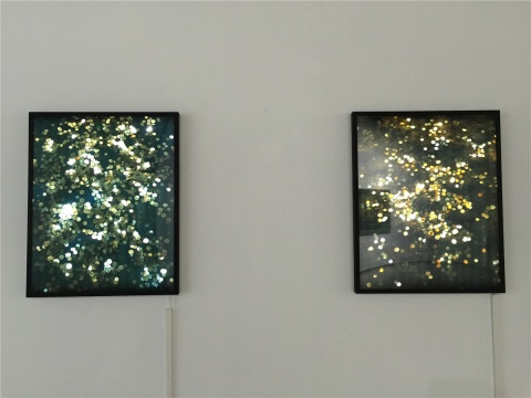 陳維2012年燈箱作品《金屬圓片》
