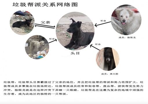 走在五環(huán)六環(huán)間 “六環(huán)比五環(huán)多一環(huán)”單向空間開幕