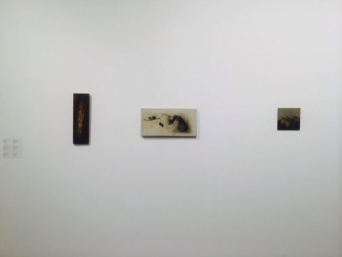 王勇亮作品現場

