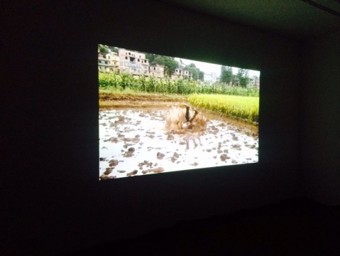 《自由耕種》湖南省藍(lán)山縣大漢口村 2014年8月8日
