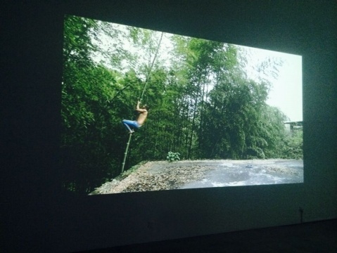 《測(cè)試》湖南省藍(lán)山縣大漢口村 2015年4月6日
