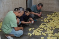 重要的恰恰是“沒有人在乎”,黎薇