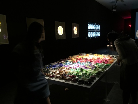 Suzanne Anker《培養(yǎng)皿中的》 尺寸可變  水彩紙噴墨打印  2014
