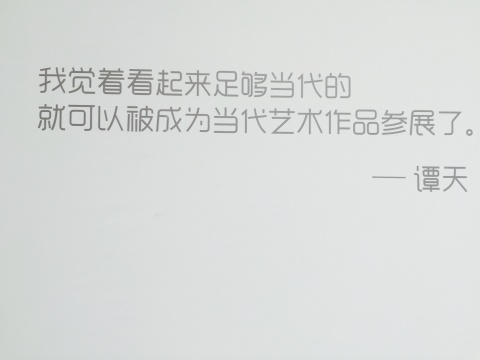 譚天自述文字
