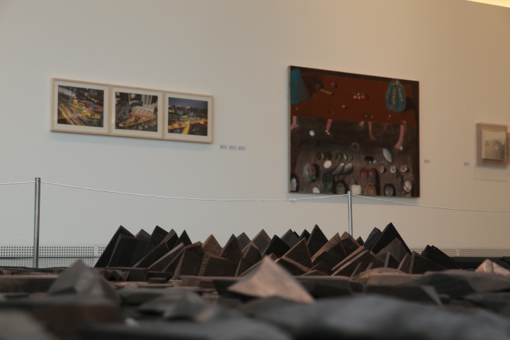 2014“常青藤計(jì)劃”展覽現(xiàn)場
